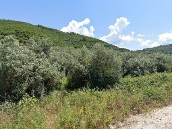 Αγροτεμάχιο με αποθήκες