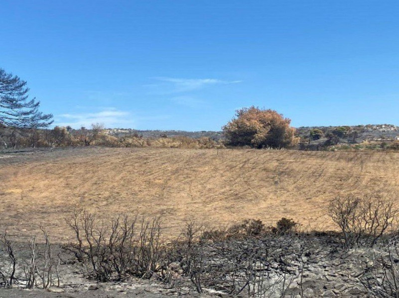 Land plot, Marathonas