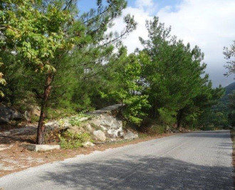 Αγροτεμάχιο, Θάσος