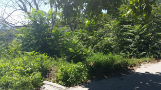 Αγροτεμάχιο, Άγιος Βλάσιος, Βόλος