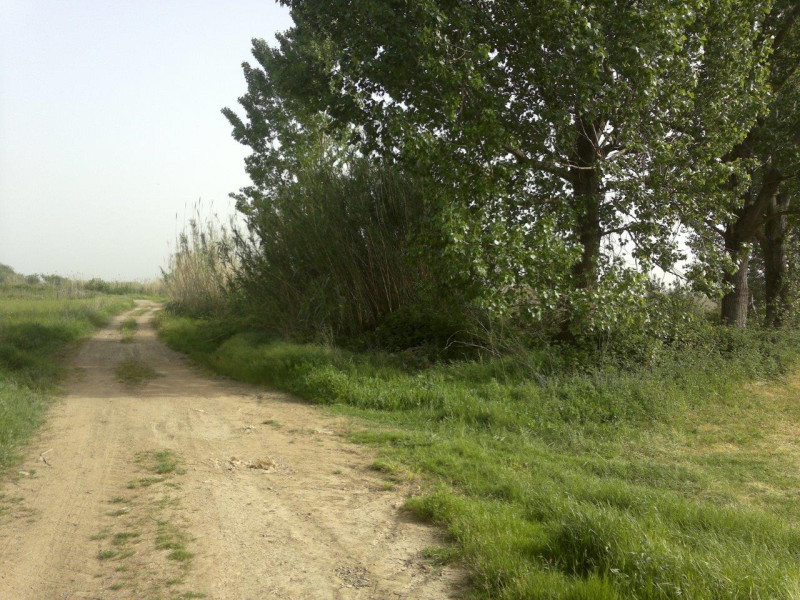 Land Plot, Panaitolio