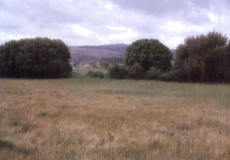 Αγροτεμάχιο, Ιωάννινα