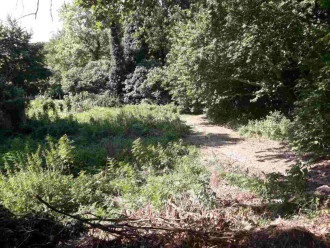 Οικόπεδο, Λαμία, Φθιώτιδα