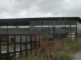 Οικόπεδο, Νησέλι, Αλεξάνδρεια