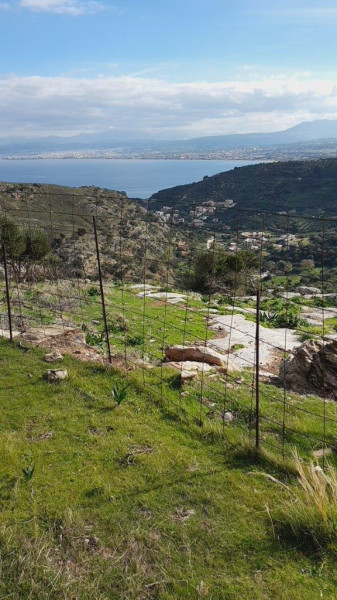 Land Plot, Arvalonia