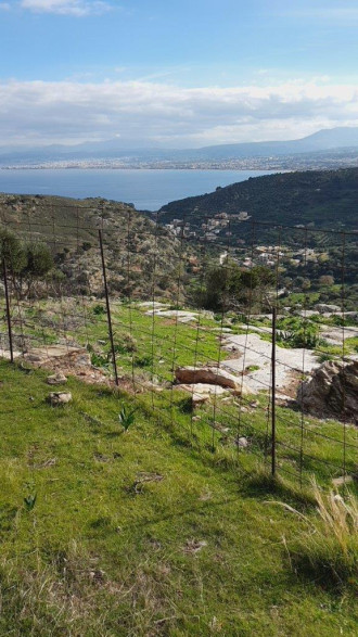 Αγροτεμάχιο, Αρβαλώνια