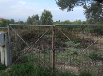 Οικόπεδο, Ανδρικιανά - Φραγκοβούνι