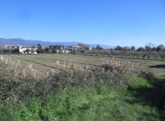 Αγροτεμάχιο, Κόμμα, Φθιώτιδα