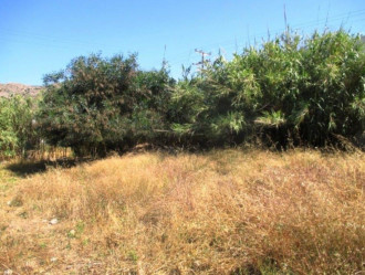 Οικόπεδο, Σύρος