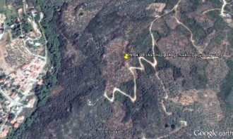 Αγροτεμάχιο, Βόλος