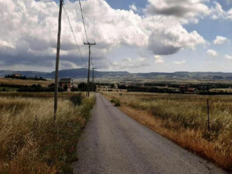 Αγροτεμάχιο, Θέρμη