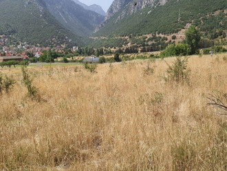 Οικόπεδο, Φωκίδα