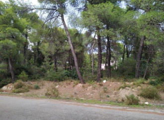 Οικόπεδο, Θεολόγος, Φθιώτιδα