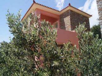 Μεζονέτα, Άνδρος