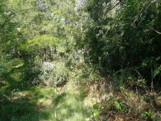 Οικόπεδο, Οικ. Χέρσο, Κιλκίς