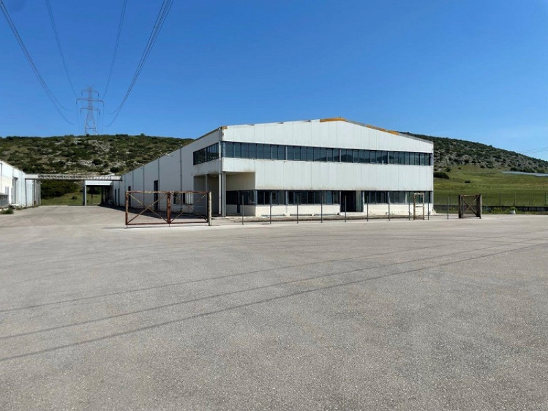 Industrial warehouse, Thiva