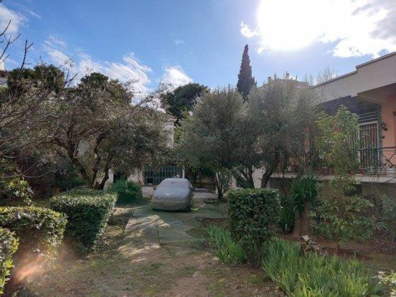 Plot, Agia Paraskevi