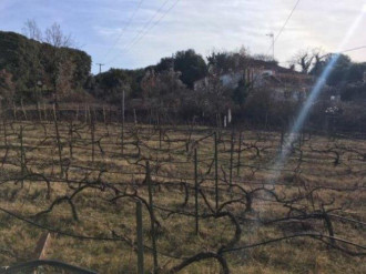 Οικόπεδο, Γραμμένο, Ζίτσα