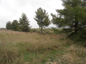 Οικόπεδο, Καλάνδρα, Χαλκιδική