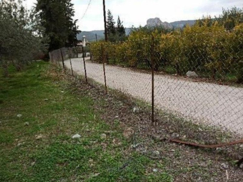 Adjoining plots, Ermioni