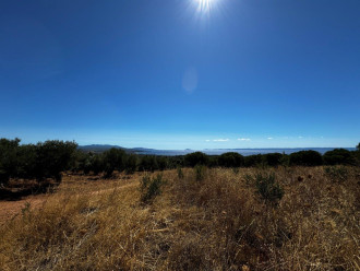 Αγροτεμάχιο, Σιθωνία, Χαλκιδική