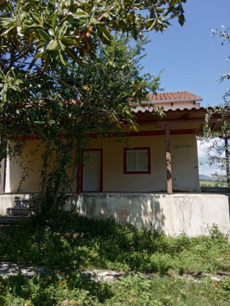 Residence in an olive tree field, Preveza
