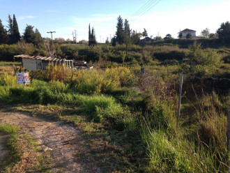 Αγροτεμάχιο, Πρέβεζα