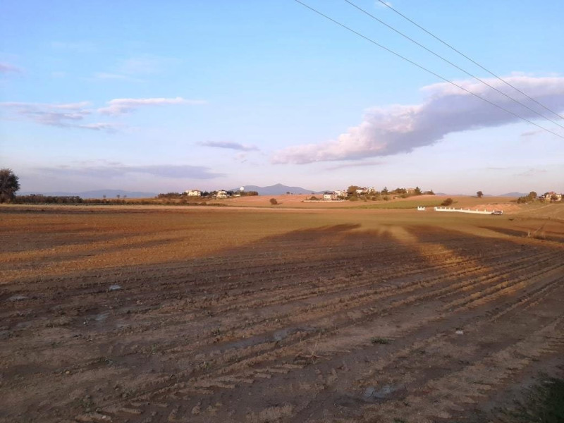 Plot of land, Farm of Peraia