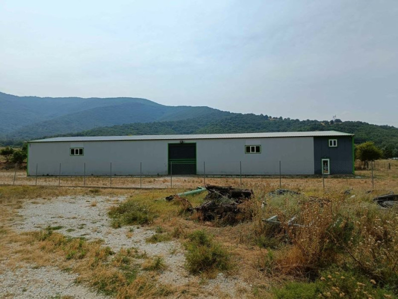 Retail store, Katerini