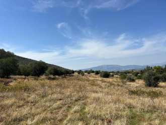 Αγροτεμάχιο, Μαρκόπουλο