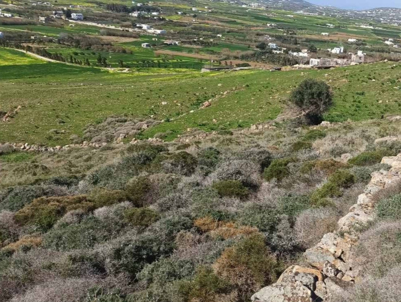 Land plot, Marpissa, Paros