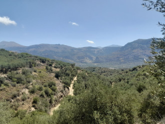 Αγροτεμάχιο, Χερσόνησος