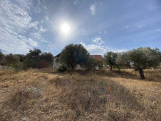 Μονοκατοικία, Μαραθώνας