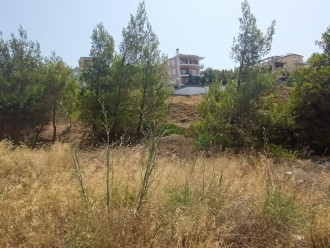 Οικόπεδο, Πικέρμι