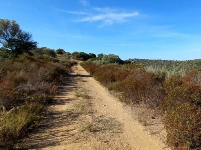 Plot of land, Ammouliani