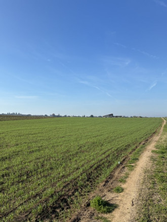 Αγροτεμάχιο, Άνω Περαία, Θεσσαλονίκη