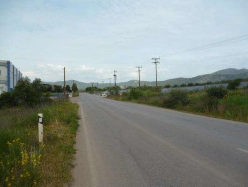 Agricultural land, Vathy Avlidas