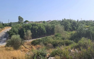 Οικόπεδο, Πέρδικα