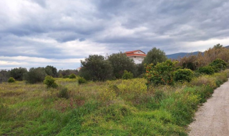 Αγροτεμάχιο, Κόρινθος