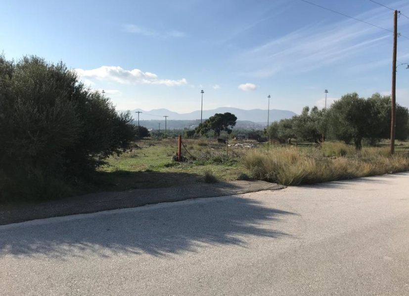 Agricultural plot, Korinthos