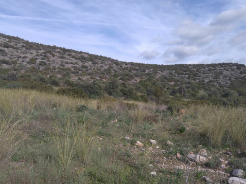 Plot of Land, Mystras